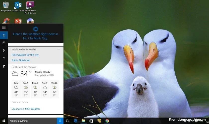 eed1mvcoy2puhreh25vg1prahmoz1kotswhtmffh Cortana có thể làm gì cho bạn?