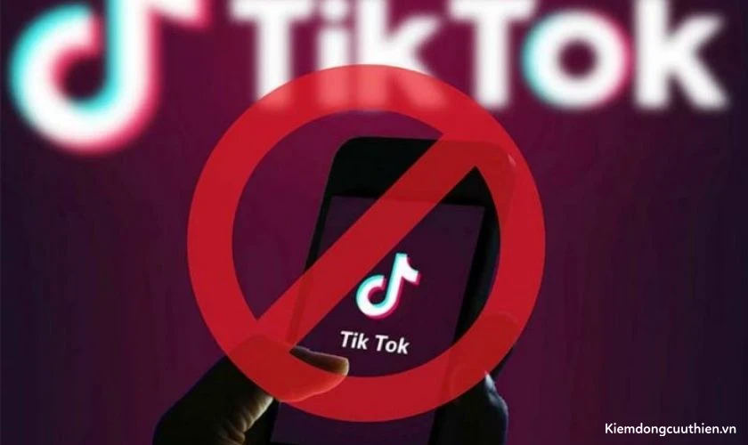 Spam trên TikTok