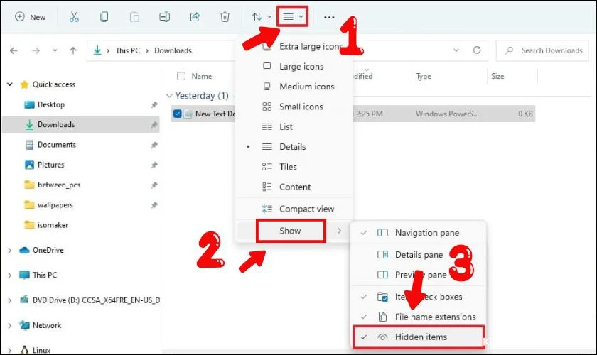 Cách hiển thị tệp đã ẩn trên Win 11