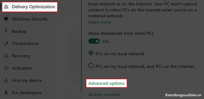 chọn Delivery Optimization → Advanced Options. 
