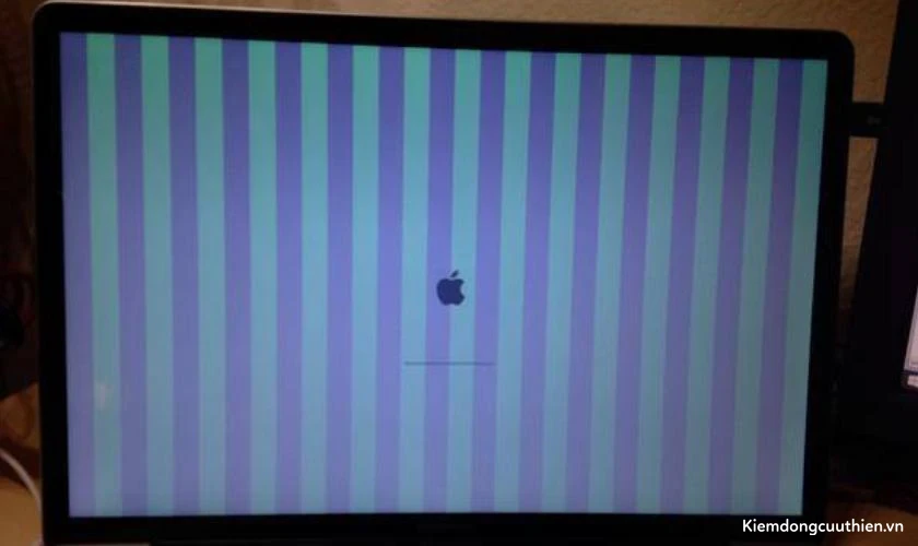 Màn hình laptop bị nhiễu do màn hình LCD bị hư