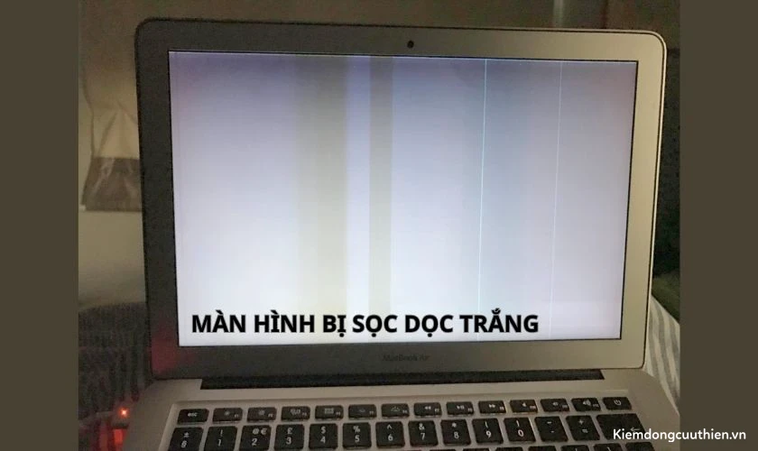 Màn hình laptop bị sọc dọc màu trắng