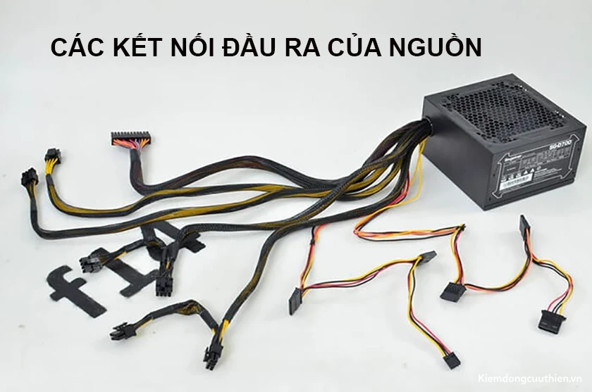 Các thông số cần lưu ý với PSU - Các kết nối đầu ra của nguồn máy tính