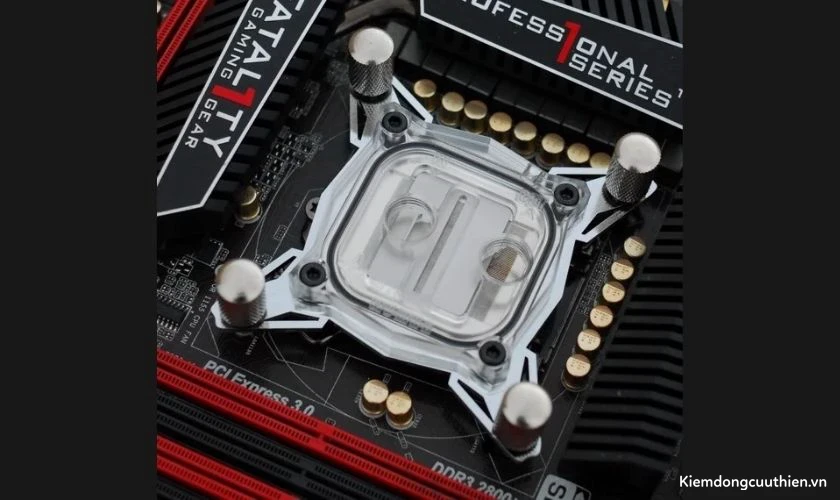 Tản nhiệt nước custom - Các thành phần cơ bản