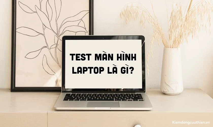 Test màn hình laptop là gì?