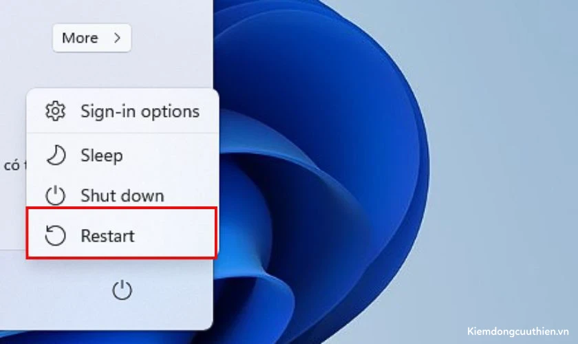 Những cách khắc phục lỗi IDM không tự bắt link trên Chrome