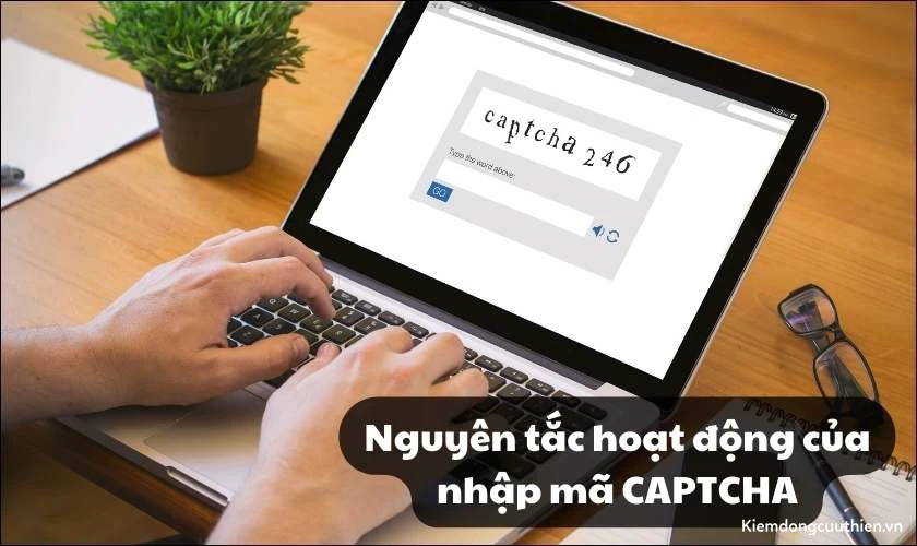 Nguyên tắc hoạt động của nhập mã CAPTCHA là gì?